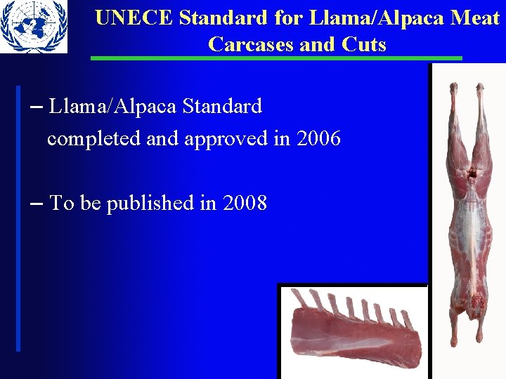 UNECE Standard for Llama/Alpaca Meat Carcases and Cuts – Llama/Alpaca Standard completed and approved UNECE Standard for Llama/Alpaca Meat Carcases and Cuts – Llama/Alpaca Standard completed and approved