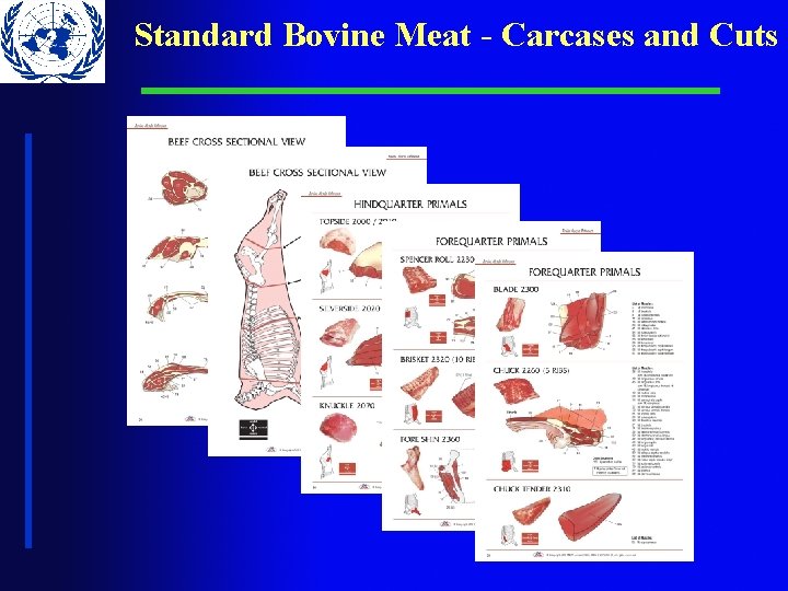 Standard Bovine Meat - Carcases and Cuts Standard Bovine Meat - Carcases and Cuts