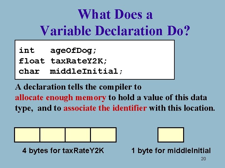 What Does a Variable Declaration Do? int age. Of. Dog; float tax. Rate. Y