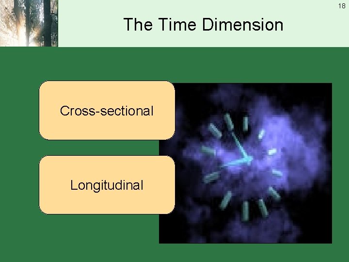 18 The Time Dimension Cross-sectional Longitudinal 