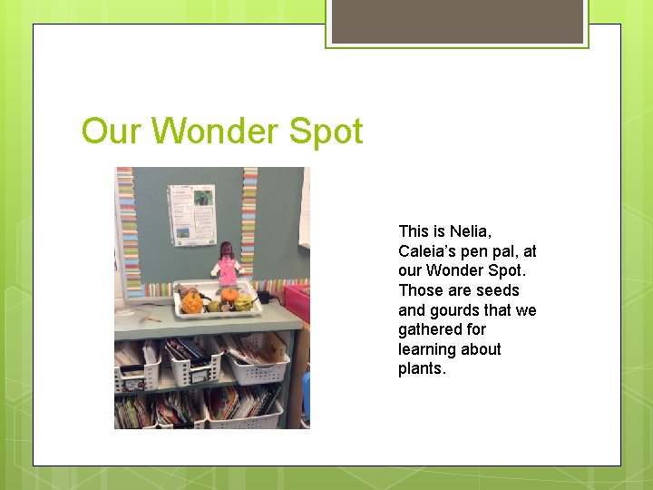 Our Wonder Spot This is Nelia, Caleia’s pen pal, at our Wonder Spot. Those