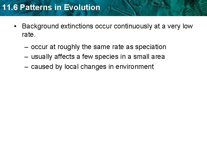 11. 6 Patterns in Evolution • Background extinctions occur continuously at a very low