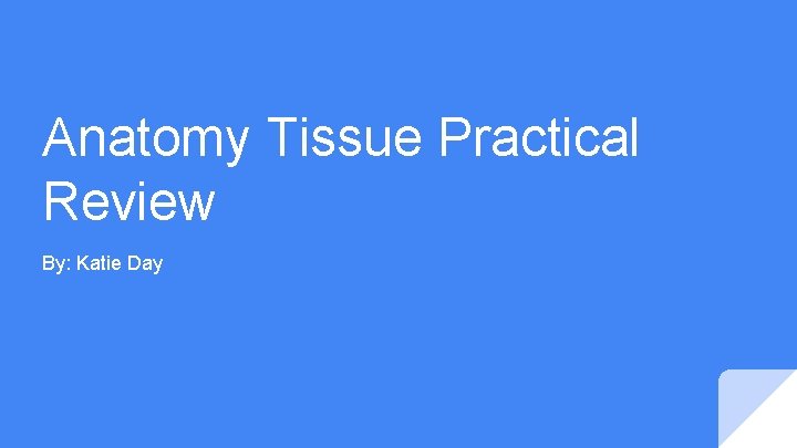 Anatomy Tissue Practical Review By: Katie Day 