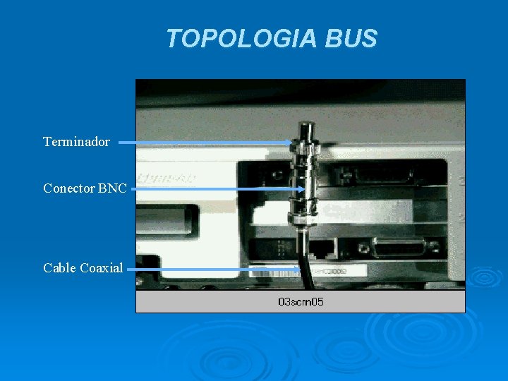 TOPOLOGIA BUS Terminador Conector BNC Cable Coaxial 