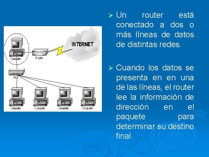 Ø Un router está conectado a dos o más líneas de datos de distintas