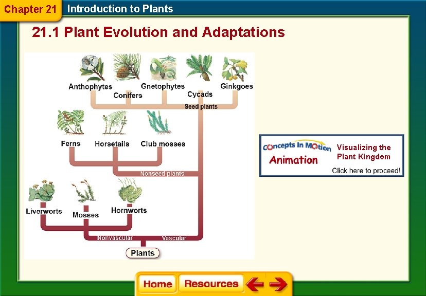 Chapter 21 Introduction to Plants 21. 1 Plant Evolution and Adaptations Visualizing the Plant