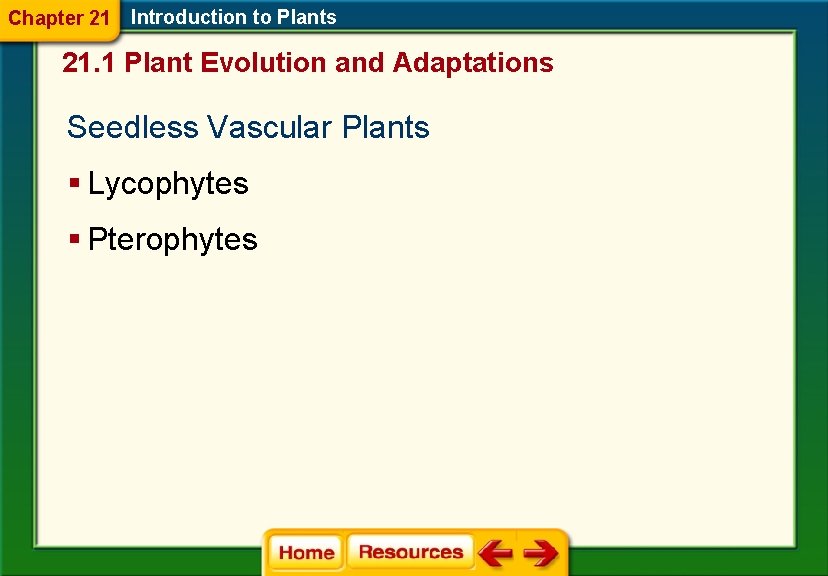 Chapter 21 Introduction to Plants 21. 1 Plant Evolution and Adaptations Seedless Vascular Plants
