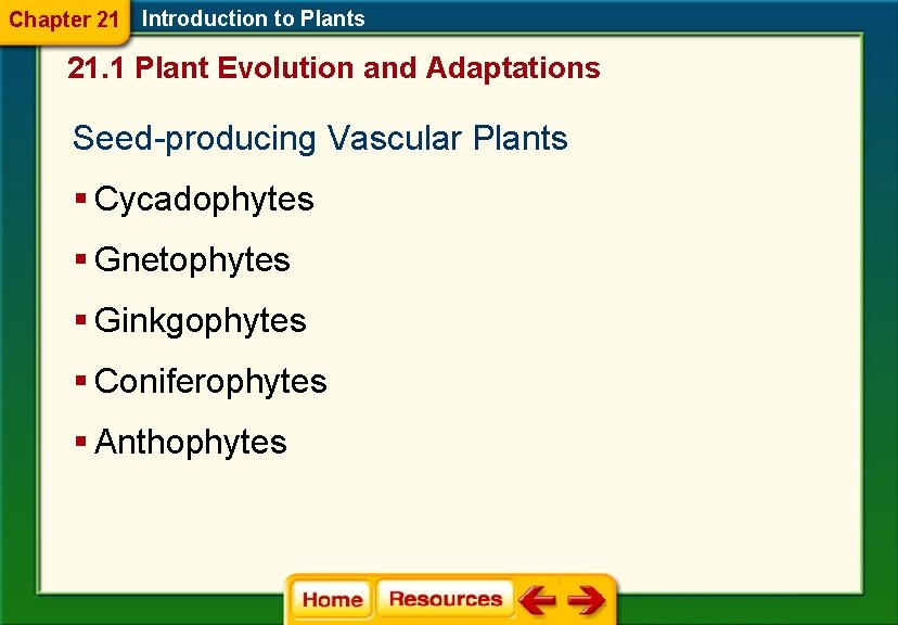 Chapter 21 Introduction to Plants 21. 1 Plant Evolution and Adaptations Seed-producing Vascular Plants