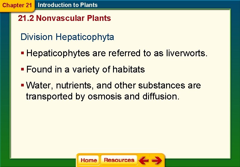 Chapter 21 Introduction to Plants 21. 2 Nonvascular Plants Division Hepaticophyta § Hepaticophytes are