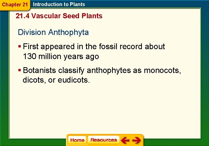 Chapter 21 Introduction to Plants 21. 4 Vascular Seed Plants Division Anthophyta § First