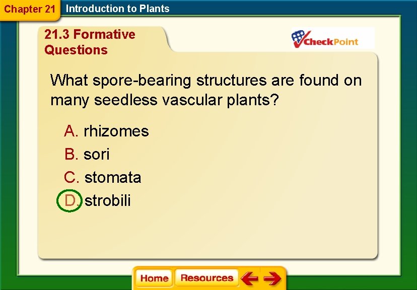 Chapter 21 Introduction to Plants 21. 3 Formative Questions What spore-bearing structures are found
