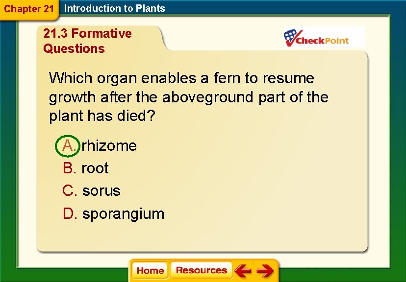 Chapter 21 Introduction to Plants 21. 3 Formative Questions Which organ enables a fern