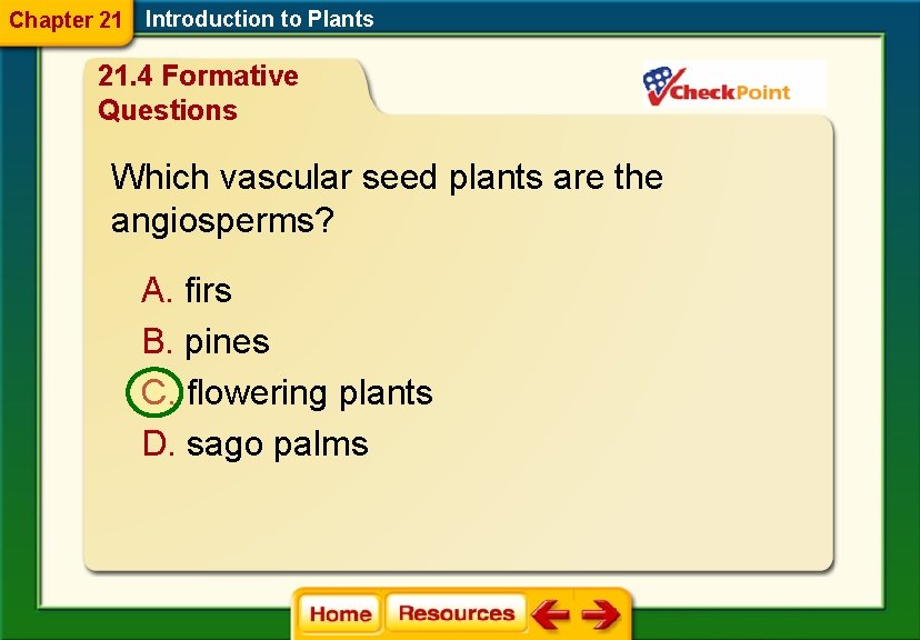 Chapter 21 Introduction to Plants 21. 4 Formative Questions Which vascular seed plants are