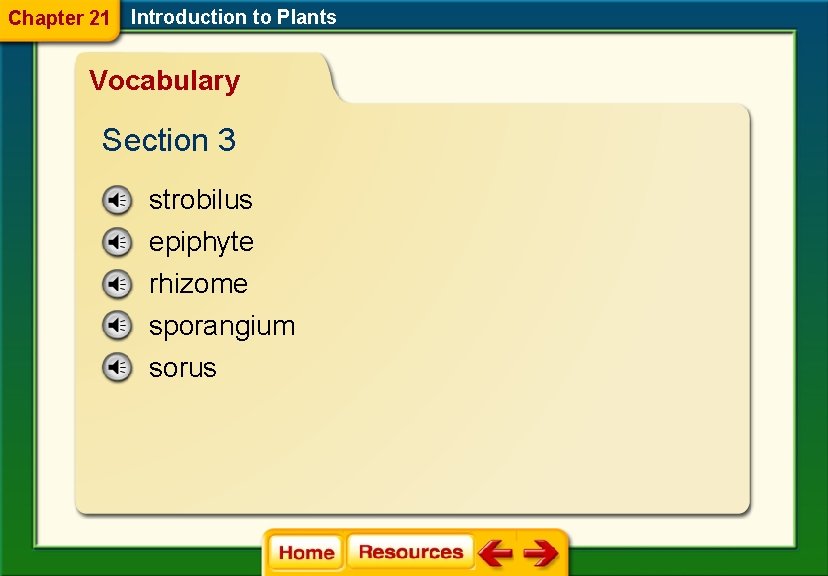 Chapter 21 Introduction to Plants Vocabulary Section 3 strobilus epiphyte rhizome sporangium sorus 