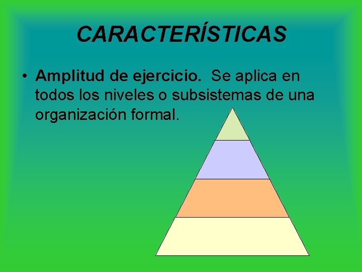 CARACTERÍSTICAS • Amplitud de ejercicio. Se aplica en todos los niveles o subsistemas de