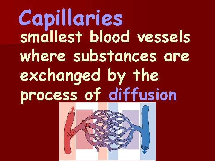 Capillaries smallest blood vessels where substances are exchanged by the process of diffusion 