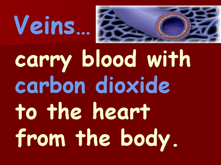 Veins… carry blood with carbon dioxide to the heart from the body. 