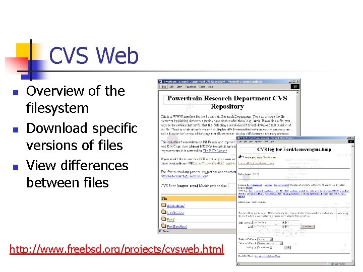 CVS Web n n n Overview of the filesystem Download specific versions of files