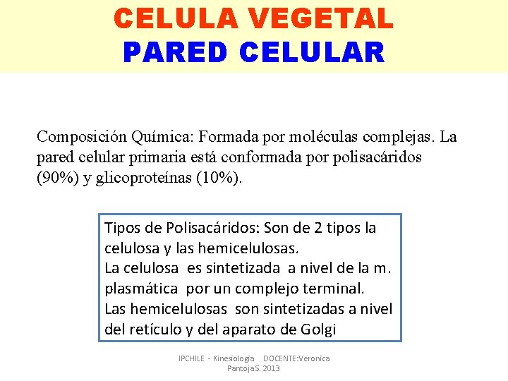 CELULA VEGETAL PARED CELULAR Composición Química: Formada por moléculas complejas. La pared celular primaria CELULA VEGETAL PARED CELULAR Composición Química: Formada por moléculas complejas. La pared celular primaria