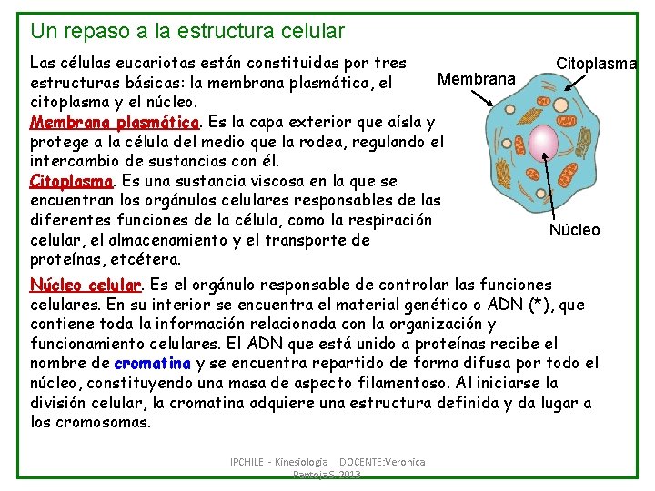Un repaso a la estructura celular Las células eucariotas están constituidas por tres Membrana Un repaso a la estructura celular Las células eucariotas están constituidas por tres Membrana