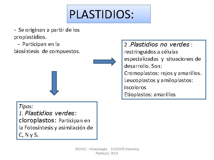 PLASTIDIOS: - Se originan a partir de los proplastidios. - Participan en la biosíntesis PLASTIDIOS: - Se originan a partir de los proplastidios. - Participan en la biosíntesis