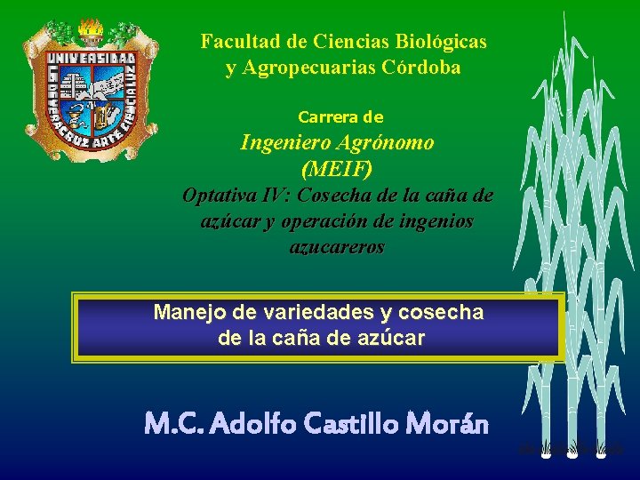 Facultad de Ciencias Biológicas y Agropecuarias Córdoba Carrera de Ingeniero Agrónomo (MEIF) Optativa IV: