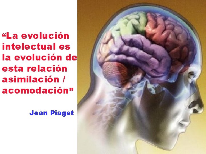 “La evolución intelectual es la evolución de esta relación asimilación / acomodación” Jean Piaget