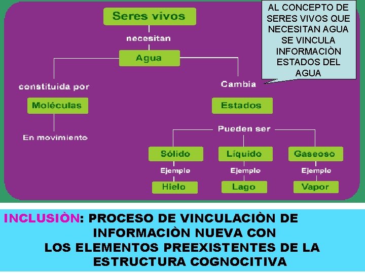 AL CONCEPTO DE SERES VIVOS QUE NECESITAN AGUA SE VINCULA INFORMACIÒN ESTADOS DEL AGUA