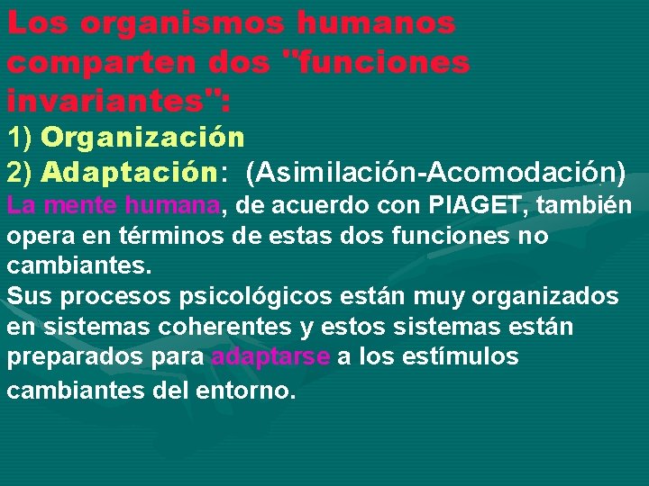 Los organismos humanos comparten dos "funciones invariantes": 1) Organización 2) Adaptación: (Asimilación-Acomodación) La mente