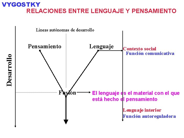 VYGOSTKY RELACIONES ENTRE LENGUAJE Y PENSAMIENTO Lineas autónomas de desarrollo Desarrollo Pensamiento Fusión Lenguaje