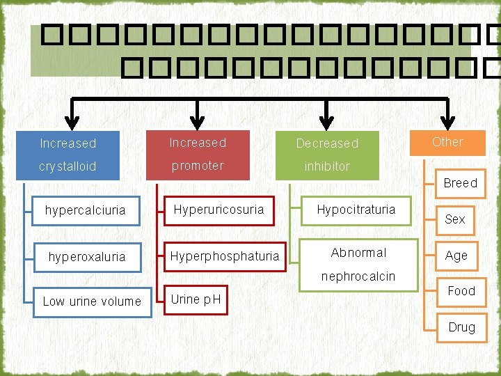 ��������� Increased crystalloid Increased promoter Decreased inhibitor hypercalciuria Hyperuricosuria Hypocitraturia hyperoxaluria Hyperphosphaturia Abnormal nephrocalcin