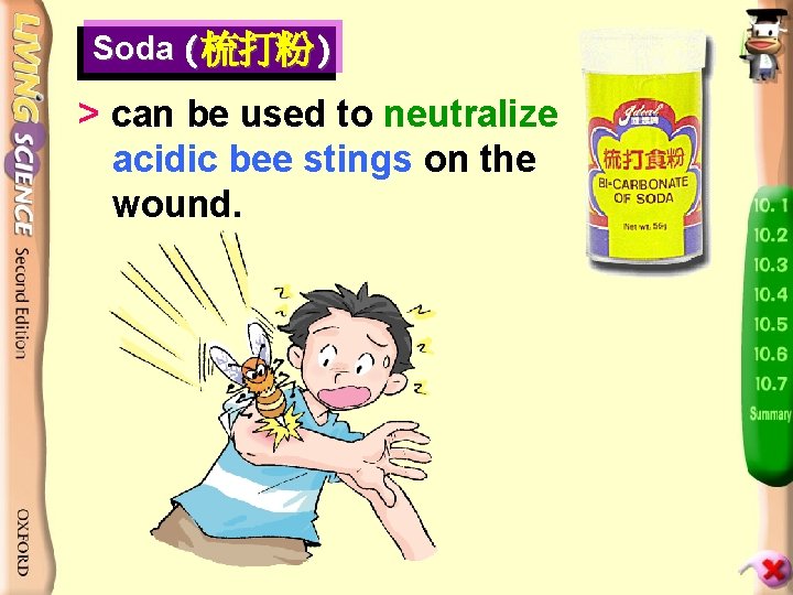 Soda (梳打粉) > can be used to neutralize acidic bee stings on the wound.