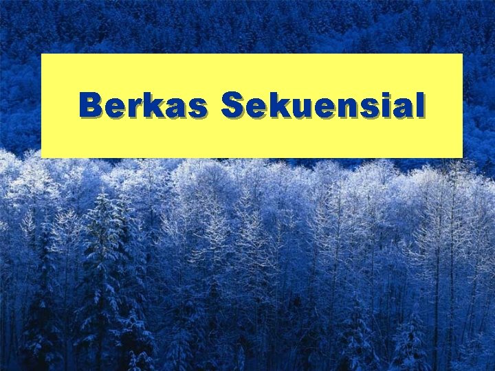 Berkas Sekuensial 