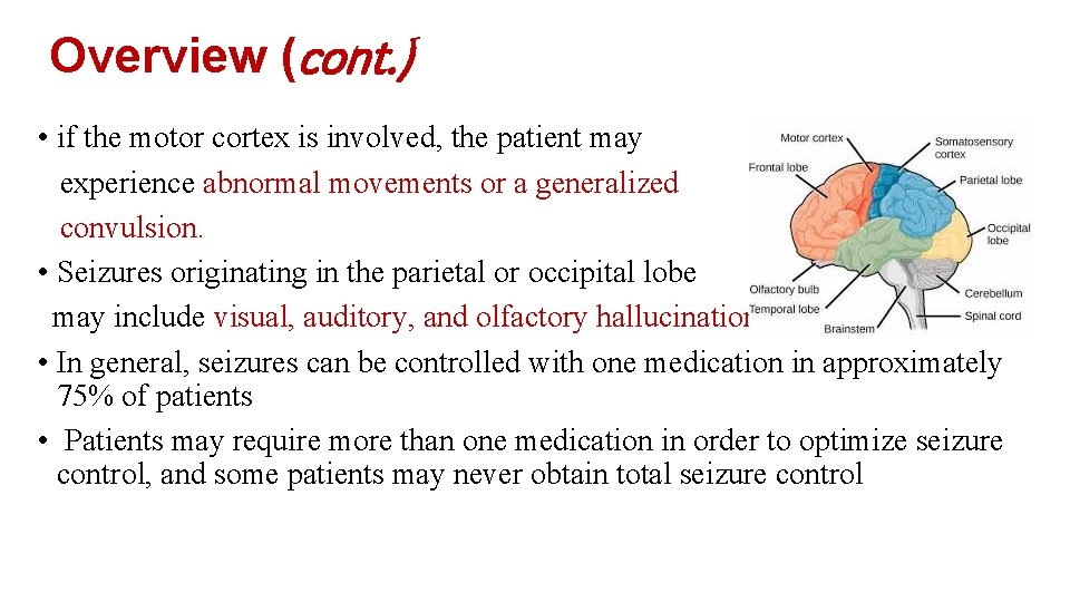 Overview (cont. ) • if the motor cortex is involved, the patient may experience