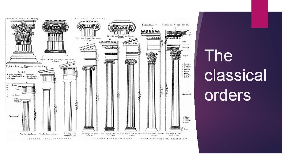The classical orders 
