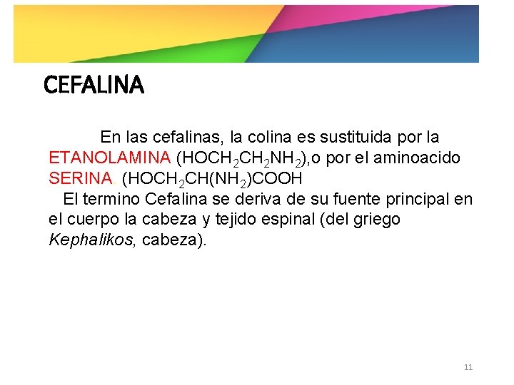 CEFALINA En las cefalinas, la colina es sustituida por la ETANOLAMINA (HOCH 2 NH