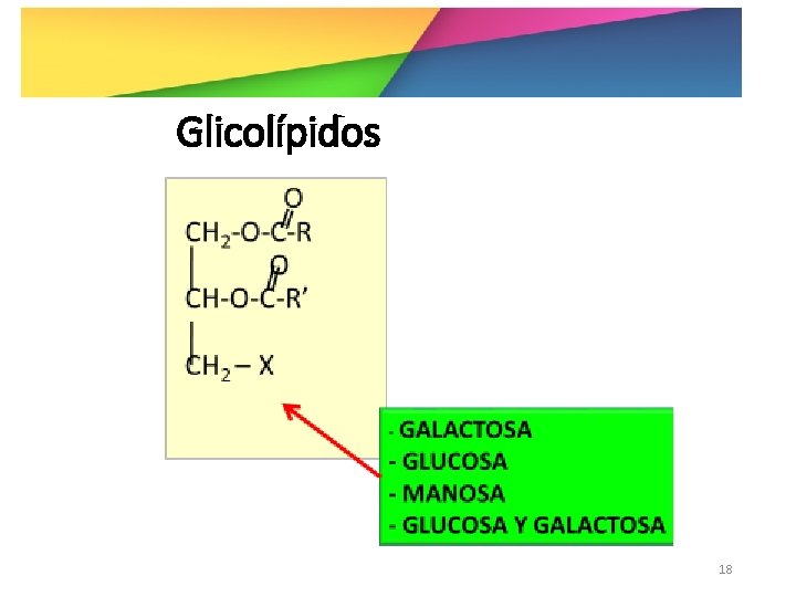 Glicolípidos 18 