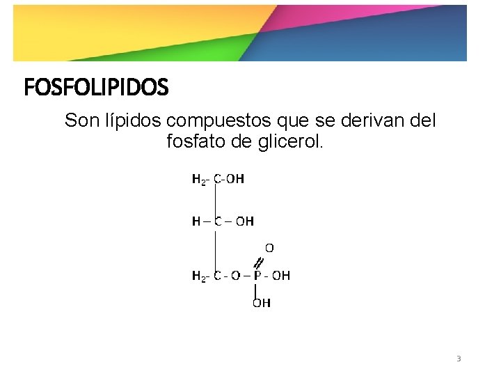 FOSFOLIPIDOS Son lípidos compuestos que se derivan del fosfato de glicerol. 3 