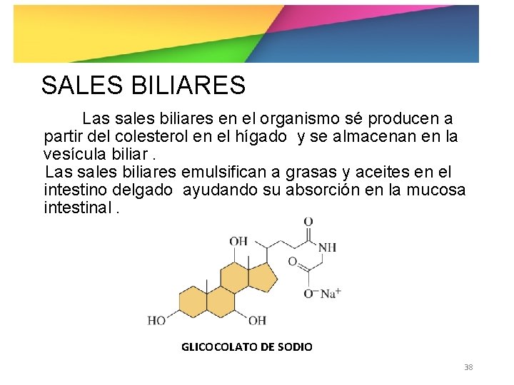 SALES BILIARES Las sales biliares en el organismo sé producen a partir del colesterol