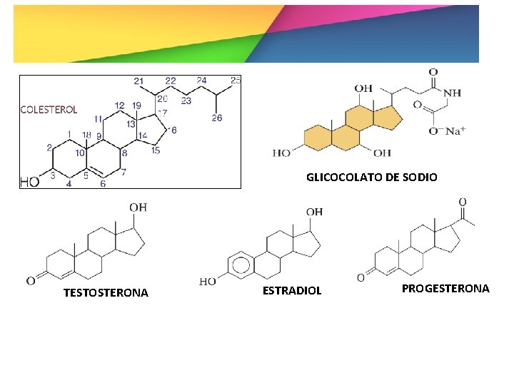 GLICOCOLATO DE SODIO TESTOSTERONA ESTRADIOL PROGESTERONA 