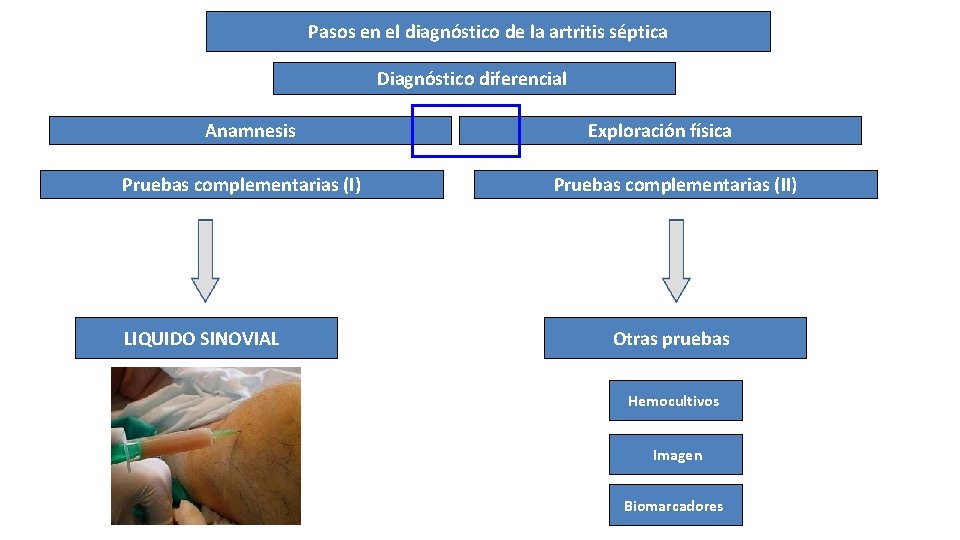 Pasos en el diagnóstico de la artritis séptica Diagnóstico diferencial Anamnesis Pruebas complementarias (I)