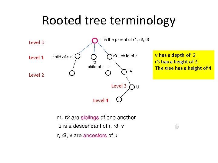 Rooted tree terminology Level 0 v has a depth of 2 r 3 has