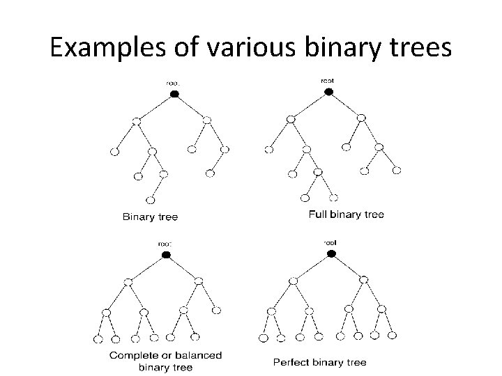 Examples of various binary trees 