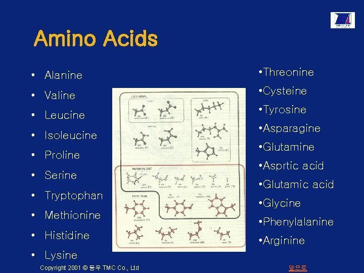 Amino Acids • Alanine • Threonine • Valine • Cysteine • Leucine • Isoleucine