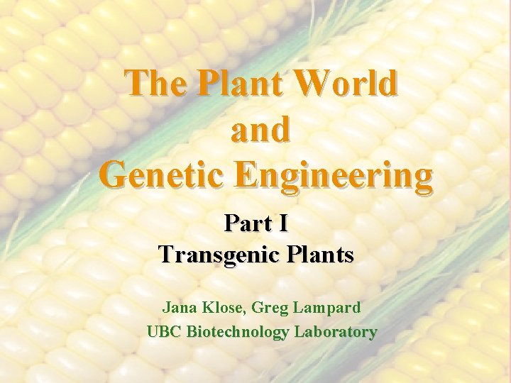 The Plant World and Genetic Engineering Part I Transgenic Plants Jana Klose, Greg Lampard