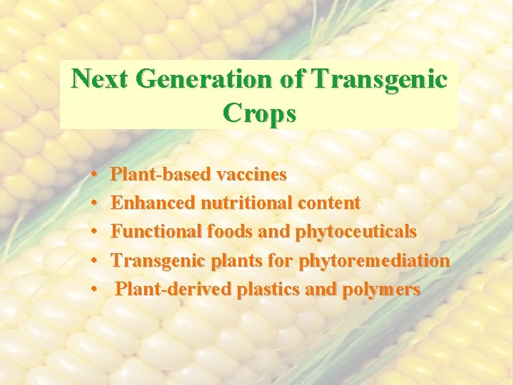 Next Generation of Transgenic Crops • • • Plant-based vaccines Enhanced nutritional content Functional