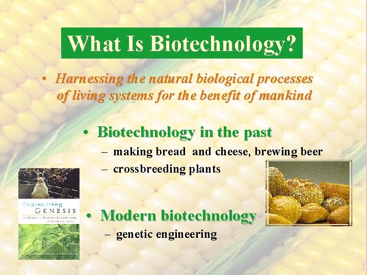 What Is Biotechnology? • Harnessing the natural biological processes of living systems for the