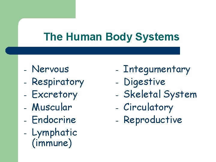 The Human Body Systems - Nervous Respiratory Excretory Muscular Endocrine Lymphatic (immune) Integumentary Digestive