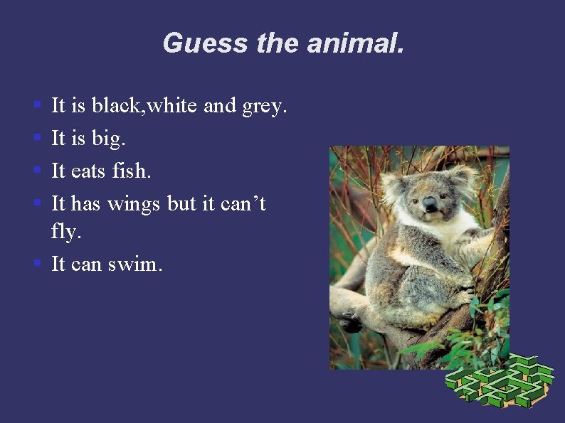 Guess the animal. § § It is black, white and grey. It is big.