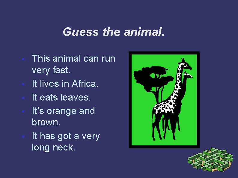 Guess the animal. § § § This animal can run very fast. It lives